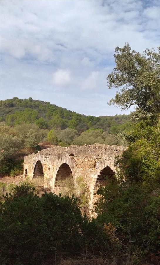 코르도바 Bonita Casa Blanca En El Bosque. 빌라 외부 사진