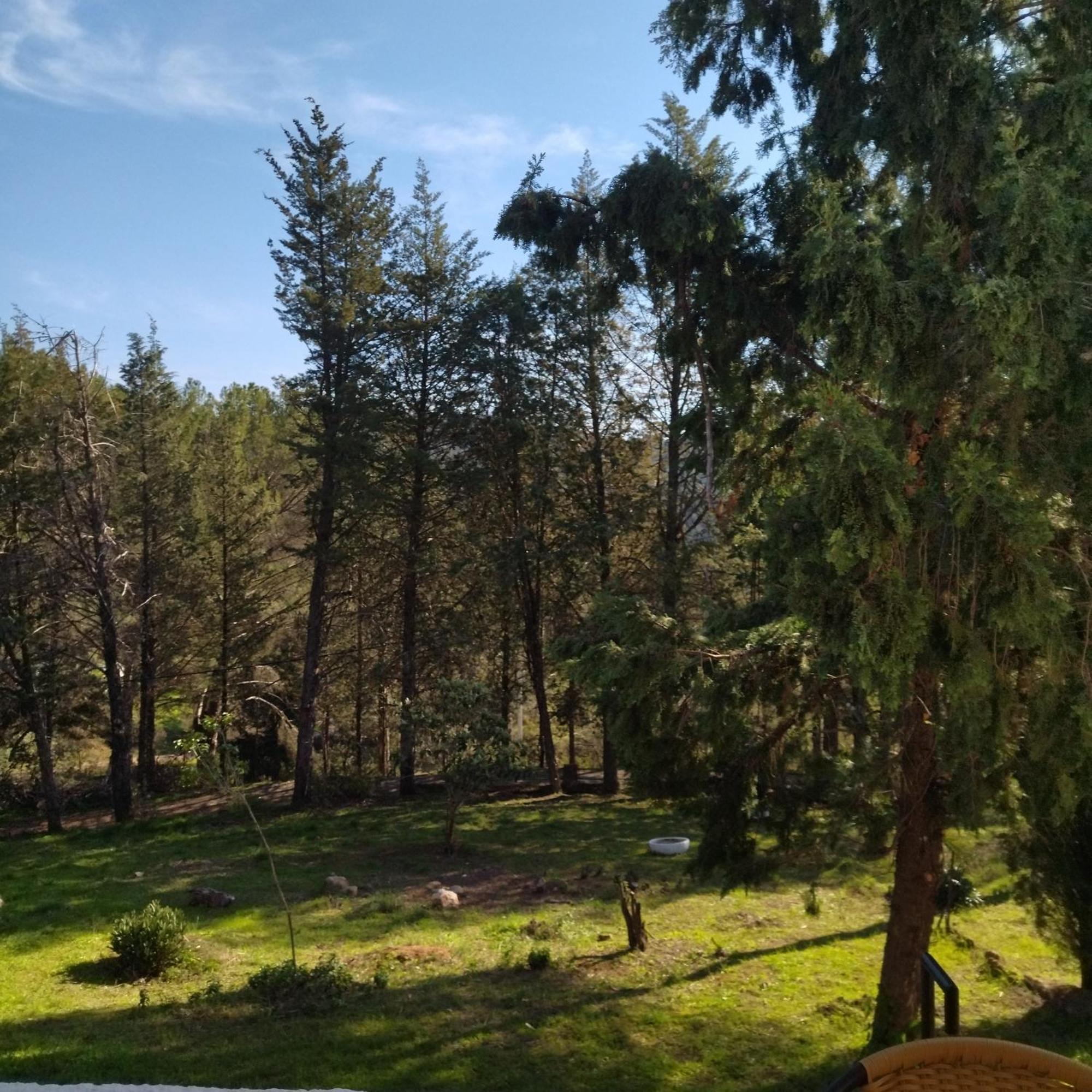코르도바 Bonita Casa Blanca En El Bosque. 빌라 외부 사진